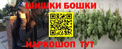 индика Будённовск