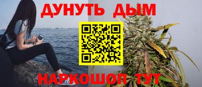 индика Будённовск