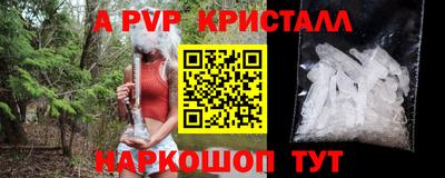 индика Будённовск