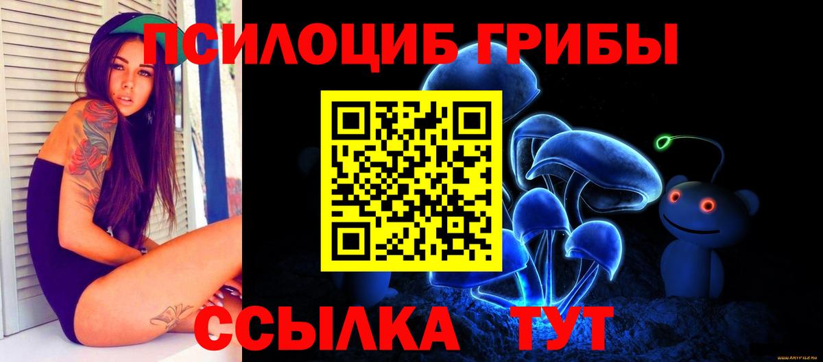 Пермь  хочу наркоту  Вход с VPN  Псилоцибиновые грибы мицелий 