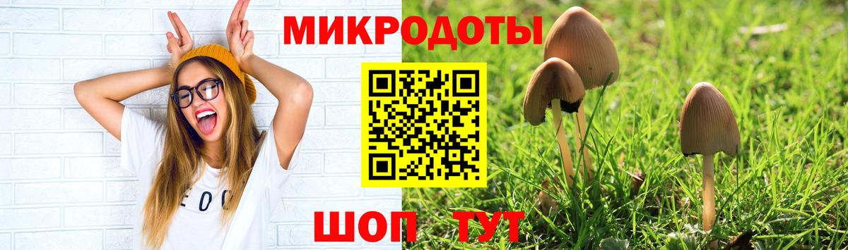 Псилоцибиновые грибы MAGIC MUSHROOMS Пермь